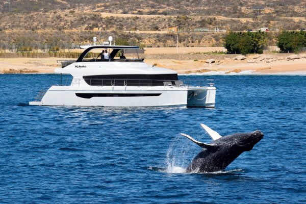 Luxury yacht charters Cabo and fishing charters in Cabo, Cabo San Lucas, and Los Cabos – premium yacht rental and deep sea fishing experiences