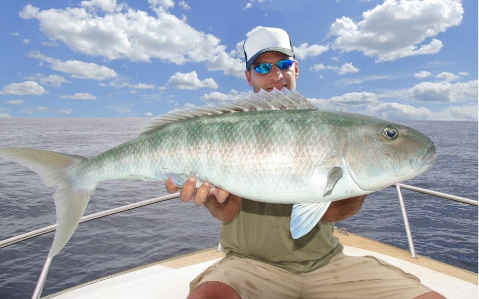Pesca Deportiva en Los Cabos