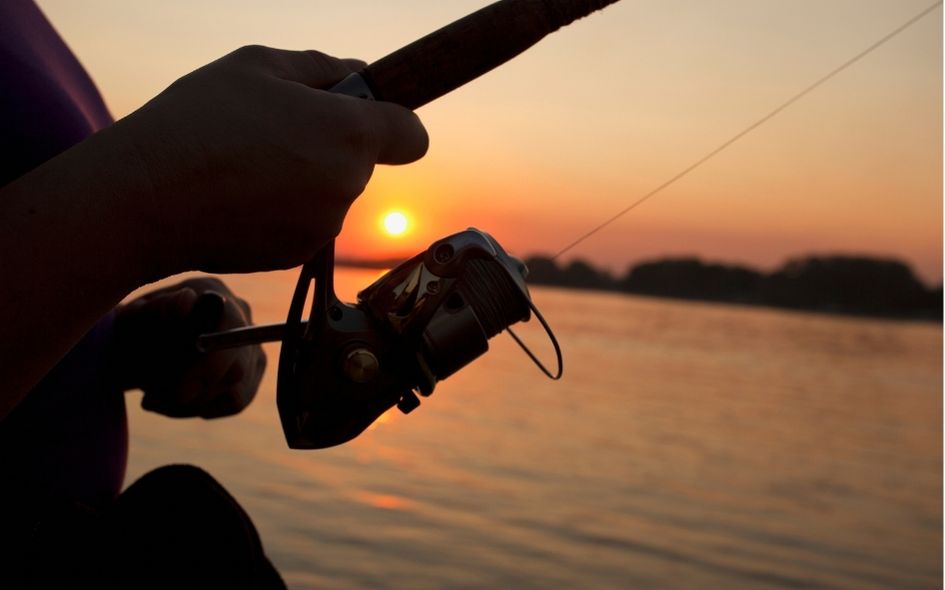 pesca deportiva en Los Cabos