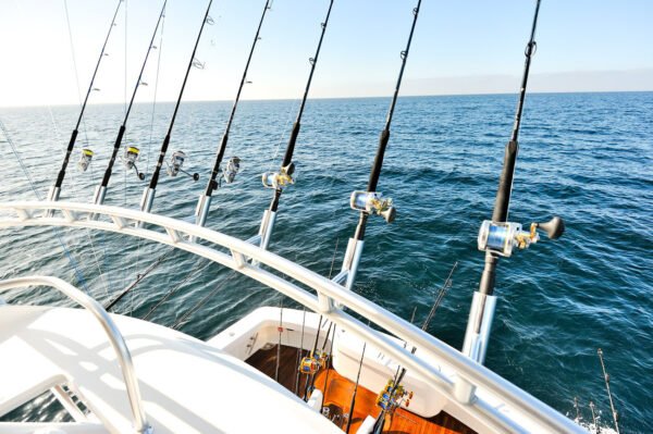 Luxury yacht charters Cabo and fishing charters in Cabo, Cabo San Lucas, and Los Cabos – premium yacht rental and deep sea fishing experiences