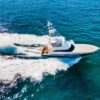 boat rental cabo