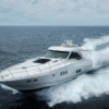 rent a boat cabo