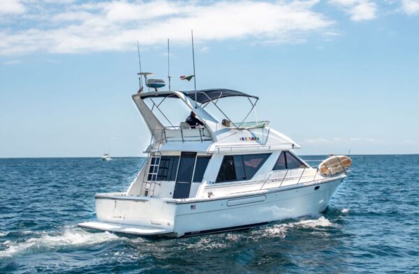Bayliner 42 Yacht Rental Cabo