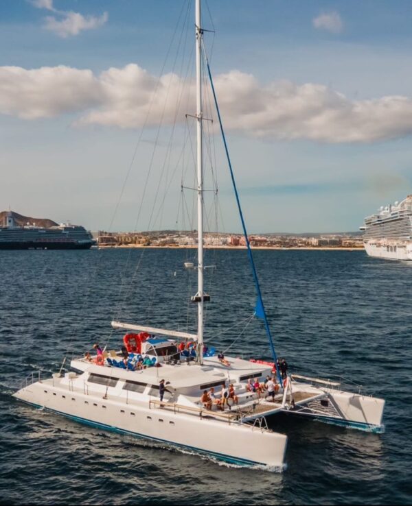 Shared Catamaran Cabo | Catamaran 120