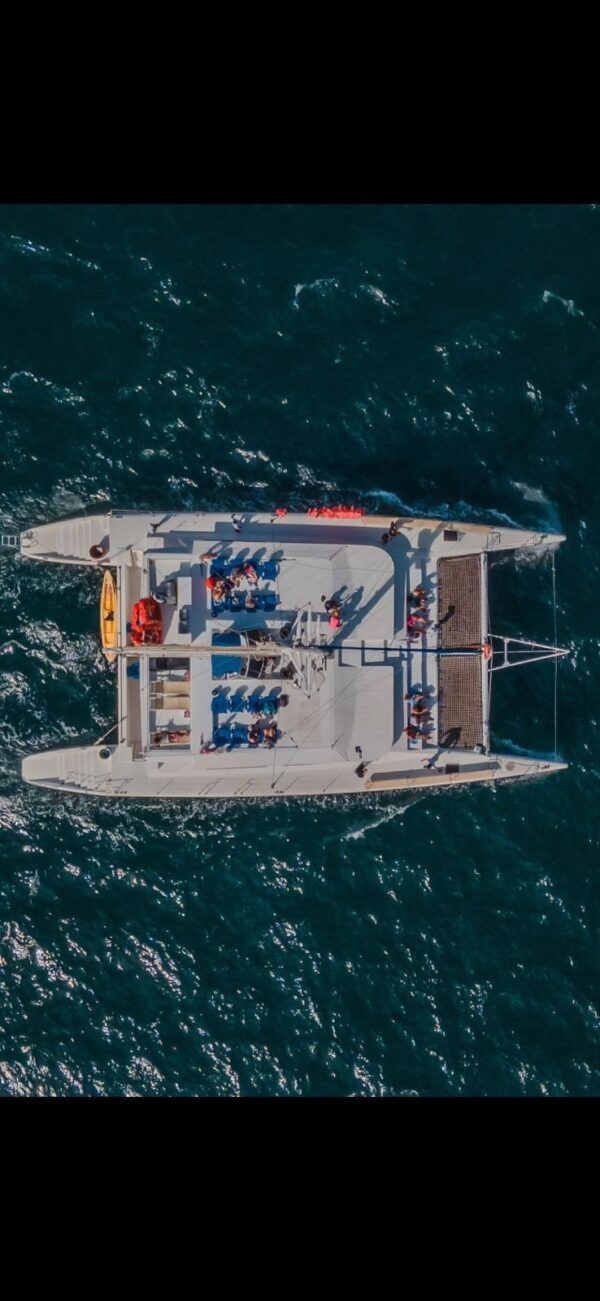 Shared Catamaran Cabo | Catamaran 120 - Image 4