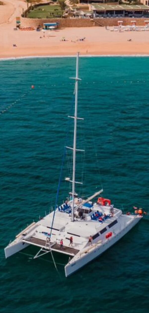 Shared Catamaran Cabo | Catamaran 120 - Image 2