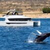 ITAC 60' 2020 | Yacht Charters Cabo - Image 2